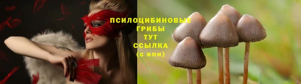 таблы Богданович