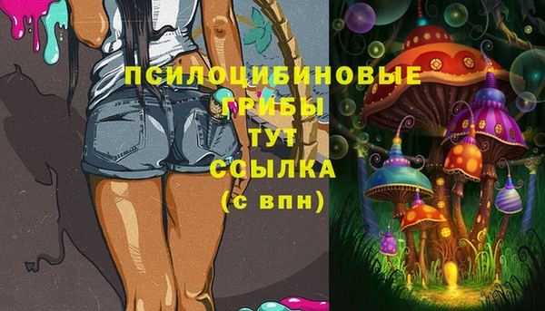 таблы Богданович