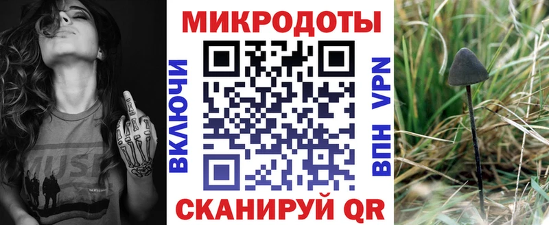 Галлюциногенные грибы Cubensis это как зайти Корсаков купить наркоту